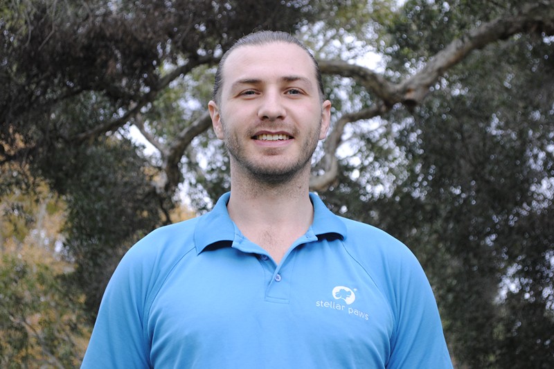 Beau, Stellar Paws founder, Sydney dog walking professional