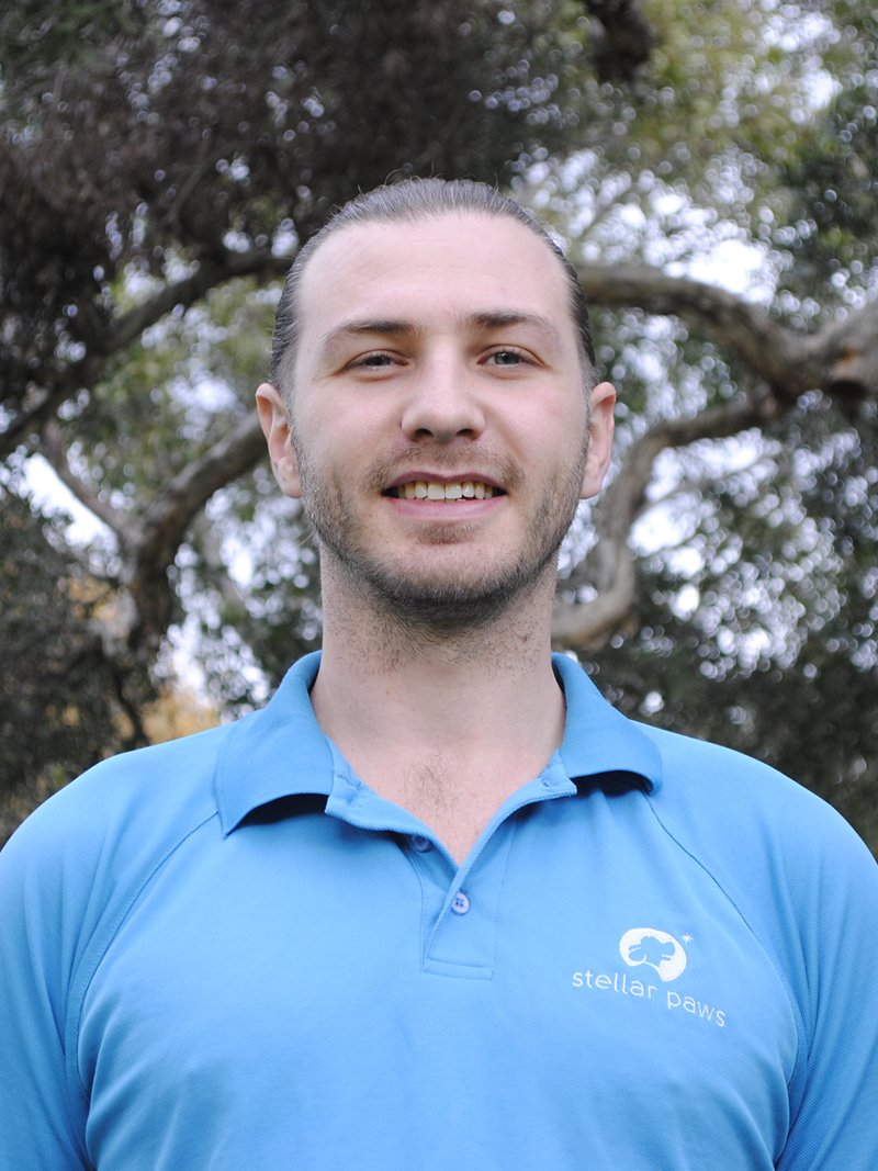 Beau, founder and head trainer of Stellar Paws dog walking, Sydney
