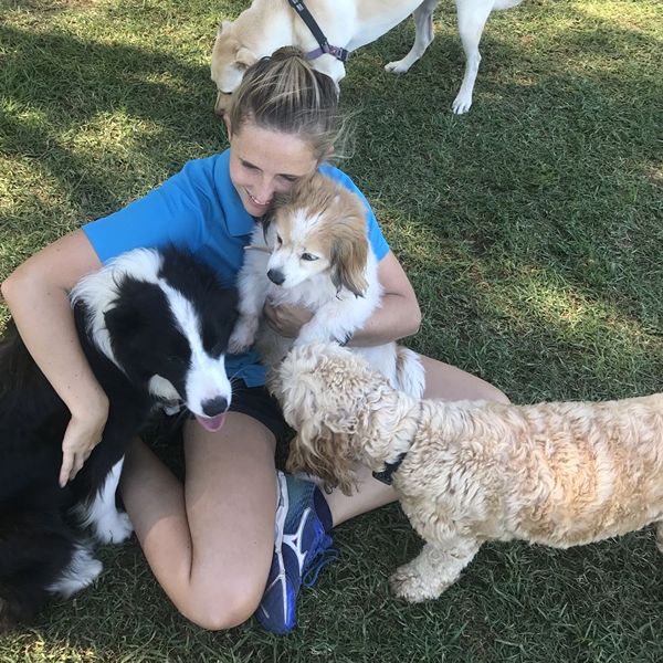 Stellar Paws walker with a border collie and cavoodle, group dog walking Sydney