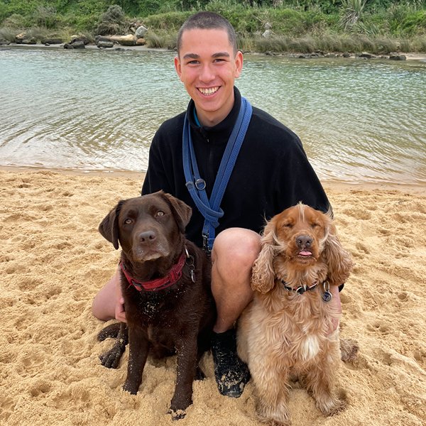 Professional dog walker with a labrador and spaniel on a Northern Beaches walk