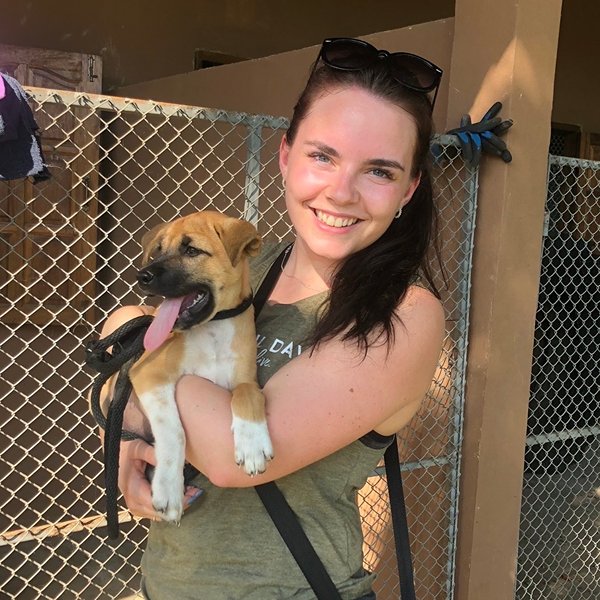 Hannah, dog walker at Stellar Paws, Sydney Lower North Shore