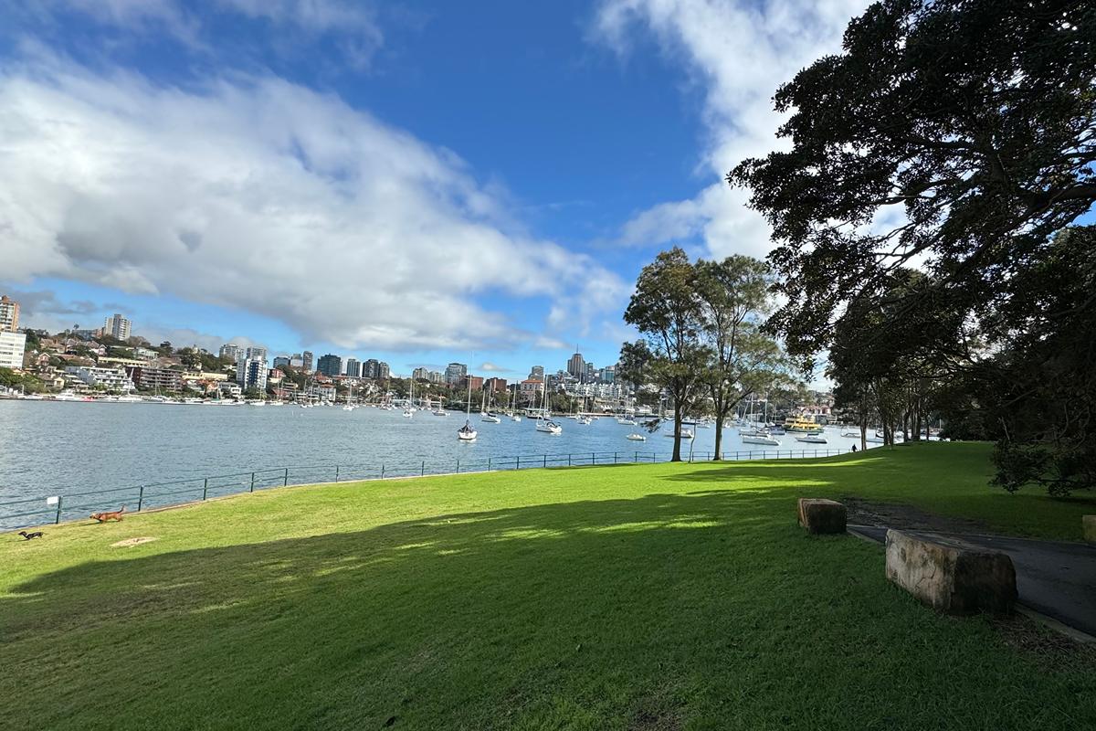 Kurraba Reserve, Neutral Bay