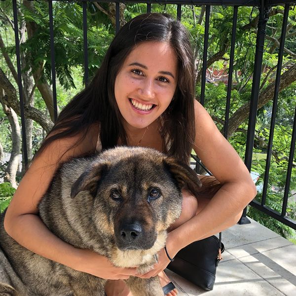 Rachael, Senior Walker at Stellar Paws, Northern Beaches dog walking