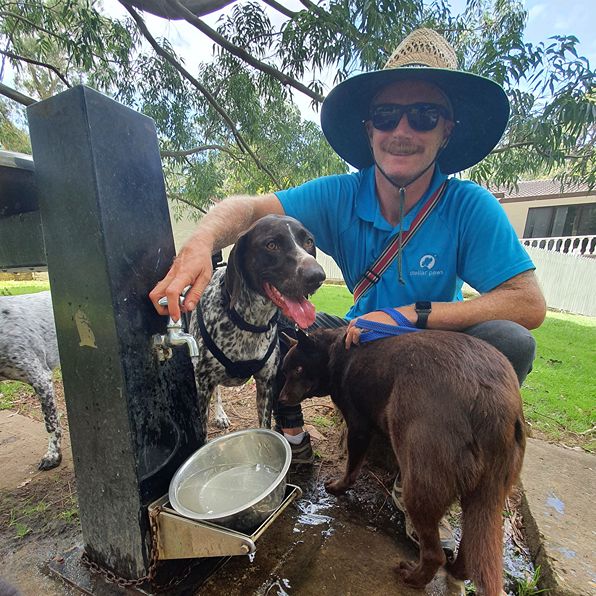 Stellar Paws founder Beau filling water bowls during a dog walking break