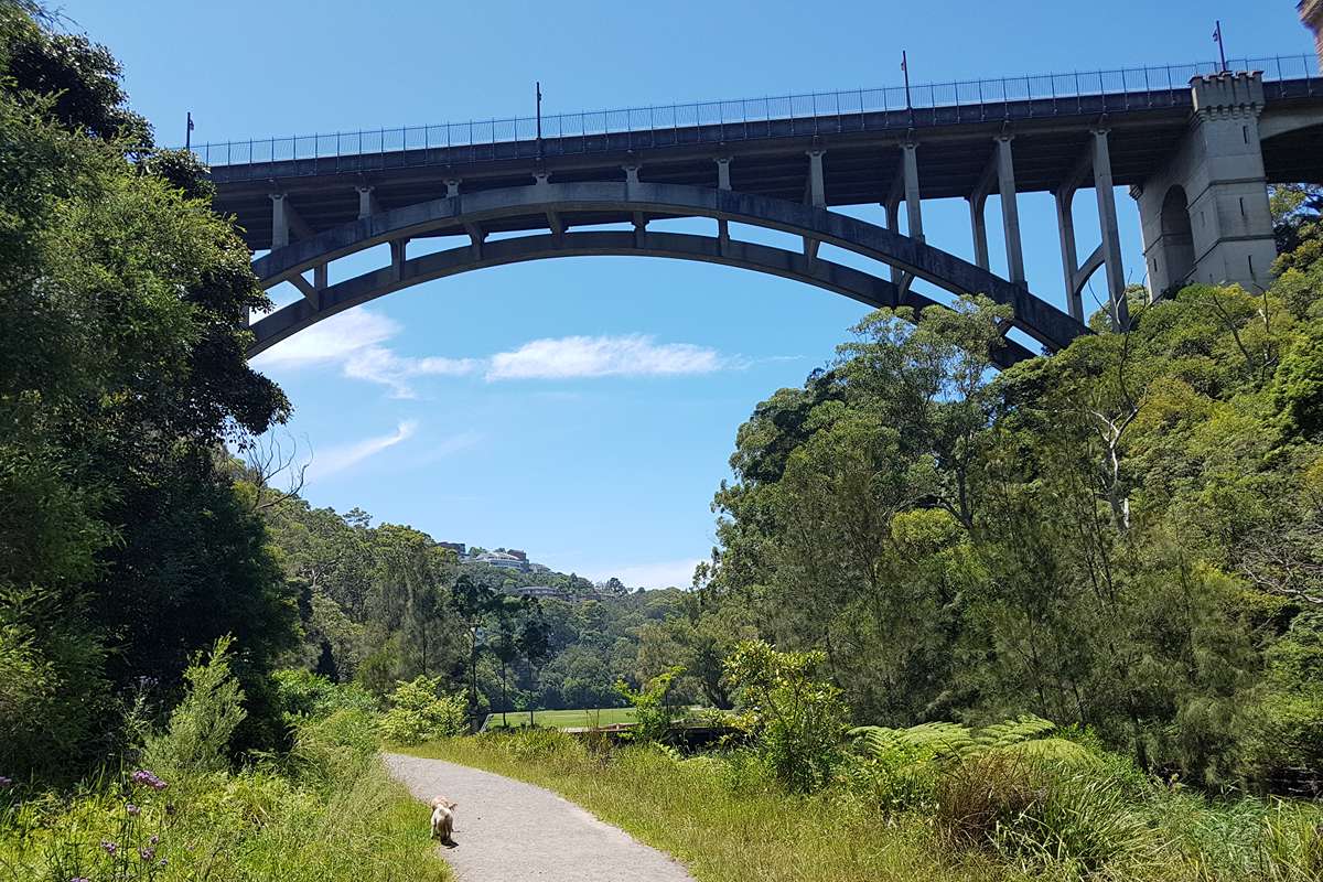 Tunks Park, Cammeray